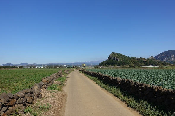 济州岛旅游