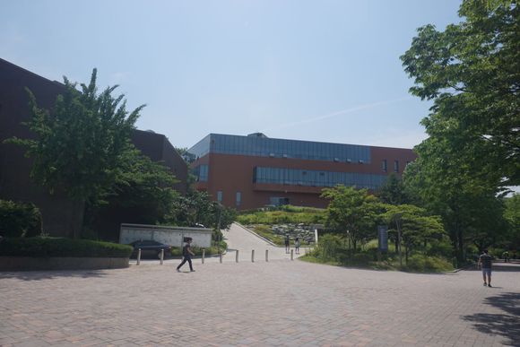 首尔大学语学院