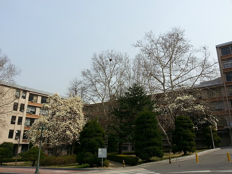 韩国大学