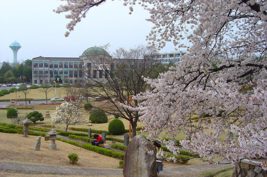 庆北大学