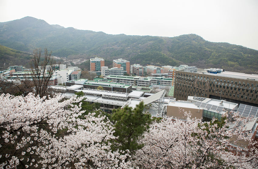 韩国大学