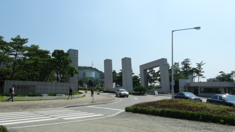 韩国大学