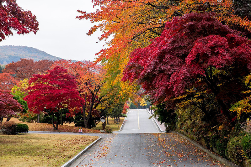 京畿道旅游景点